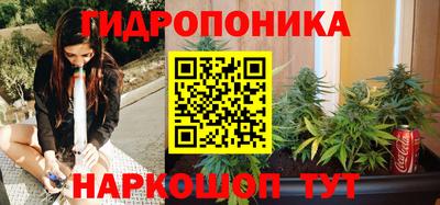 прущие крисы Новодвинск