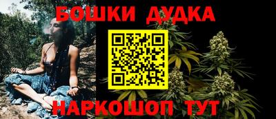прущие крисы Новодвинск