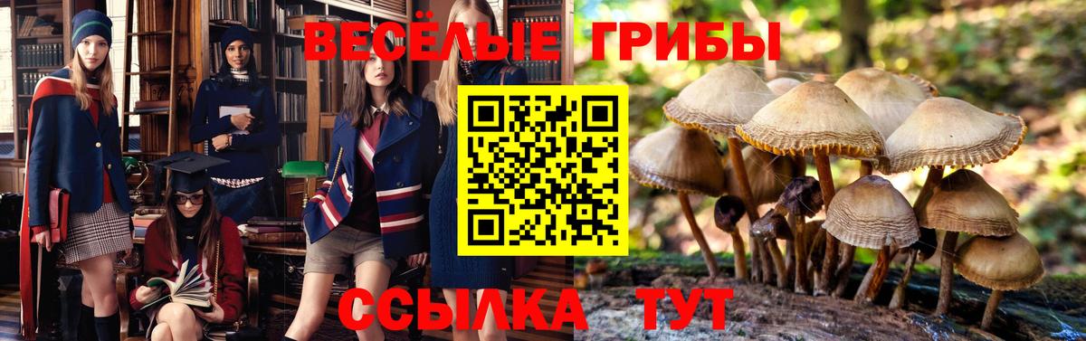 Псилоцибиновые грибы Psilocybine cubensis  Вход с VPN  как найти наркотики  Тимашёвск 